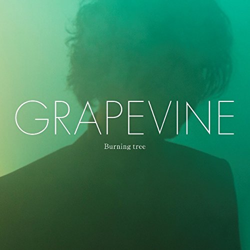 グレープバイン (GRAPEVINE) 移籍後、初のアルバム「Burning tree」が発売！