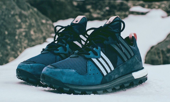 KITH RONNIE FIEG × adidas Trail Boost (キース ロニー・フィーグ アディダス トレイル ブーツ)