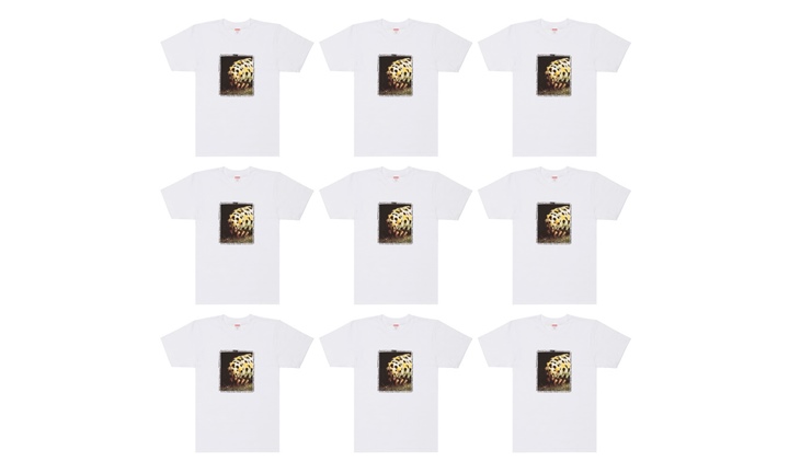 SUPREME (シュプリーム) × DSMG (ドーバーストリートマーケット銀座) 5th ANNIVERSARY TEEが3/18発売！