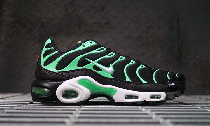 ナイキ　エアマックスプラス　NIKE AIR MAX PLUS ブラック28cm