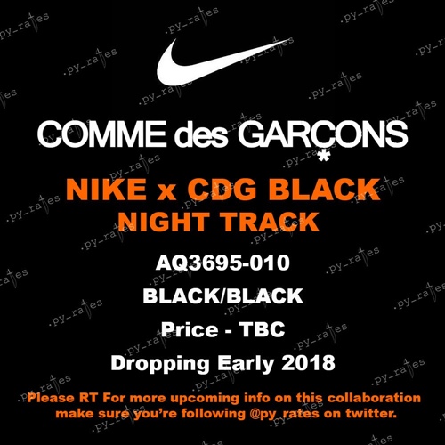 コム デ ギャルソン ブラック × ナイキ ナイト トラック (COMME des GARCONS BLACK NIKE Night Track) [AQ3695-010]