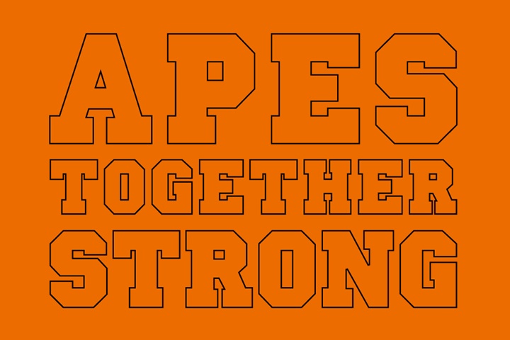 A BATHING APEからブランドの世界観を表現する「APES TOGETHER STRONG」のタイポグラフィーをアイテムにデザインしたコレクションが3/10発売 (ア ベイシング エイプ)