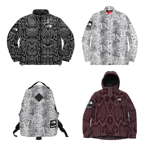 スネークスキンモデルが今シーズンにも登場か！？ シュプリーム (SUPREME) × ザ・ノース・フェイス (THE NORTH FACE) 2018 シーズン！