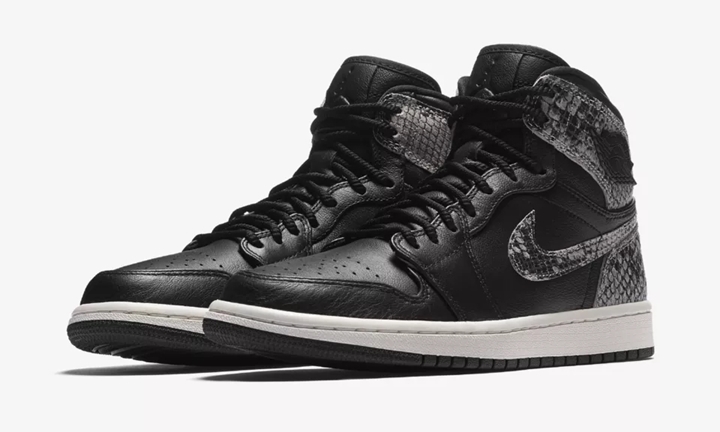 jordan 1 retro high premium black