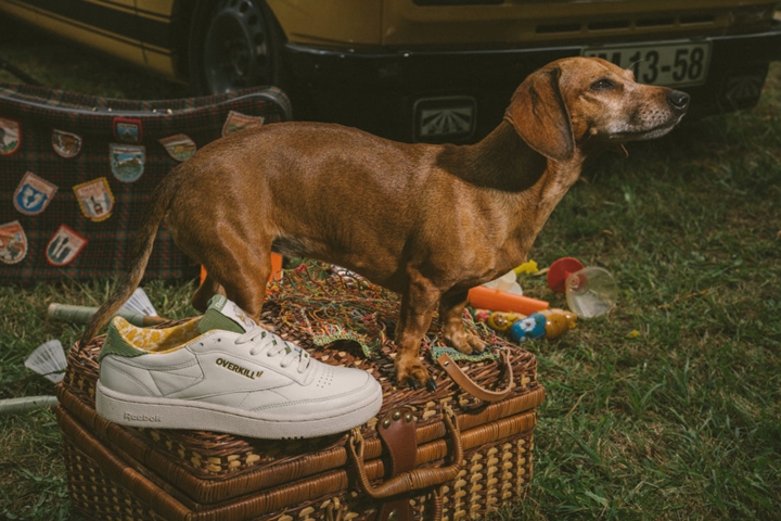 reebok club c 85 overkill