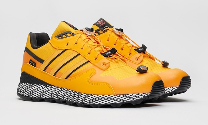 Livestock x adidas Consortium ULTRA TECH GTX/TERREX SKYCHASERが9 ...