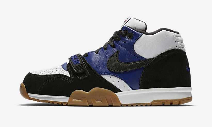 nike sb x polar air trainer 1