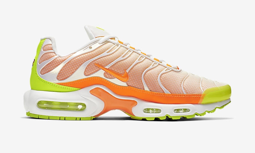 air max plus color flip