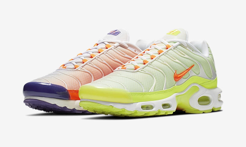 ナイキ エア マックス プラス "カラーフリップ" (NIKE AIR MAX PLUS "Color Flip") [CI5924-531]