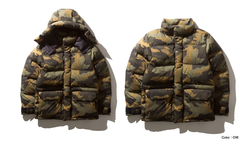 THE NORTH FACE "Novelty WS Brooks Range Light Parka" 2019 F/W (ザ・ノース・フェイス ノベルティ ウインドストッパー ブルックス レンジ ライト パーカ 2019年 秋冬モデル) [ND91961]