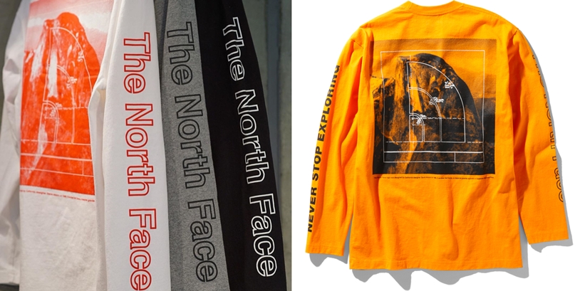 THE NORTH FACE 2020 S/S “L/S Sleeve Graphic Tee” (ザ・ノース・フェイス “スリーブ グラフィック TEE” 2020年 春夏) [NT32042]