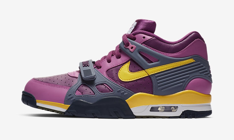 ナイキ エア クロス トレーナー 3 “パープル/グレー/イエロー” (NIKE AIR CROSS TRAINER 3 “Purple/Grey/Yellow”) [CZ6393-500]