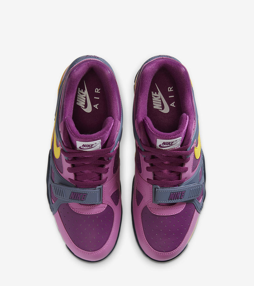 ナイキ エア クロス トレーナー 3 “パープル/グレー/イエロー” (NIKE AIR CROSS TRAINER 3 “Purple/Grey/Yellow”) [CZ6393-500]