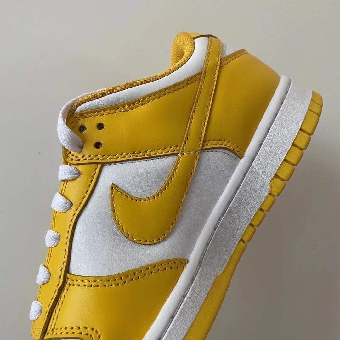 【リーク】2021年発売予定！ナイキ ウィメンズ ダンク ロー 7カラー (NIKE WMNS DUNK LOW)