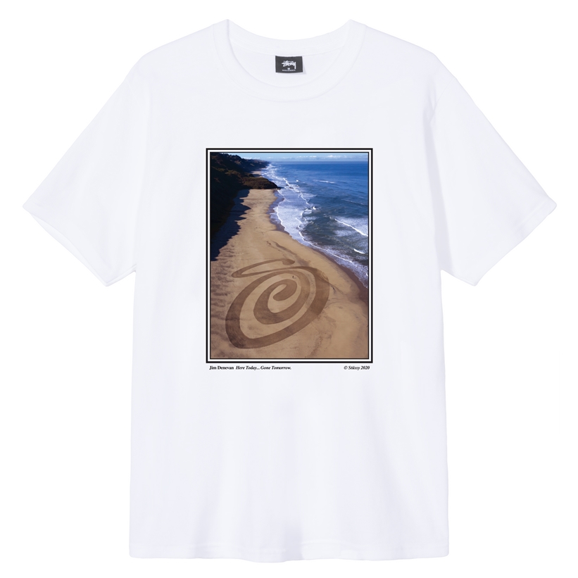 6/19発売！STUSSY 2020 SUMMER BY JIM DENEVAN “Land Art Tee” (ステューシー ジム・デネバン)