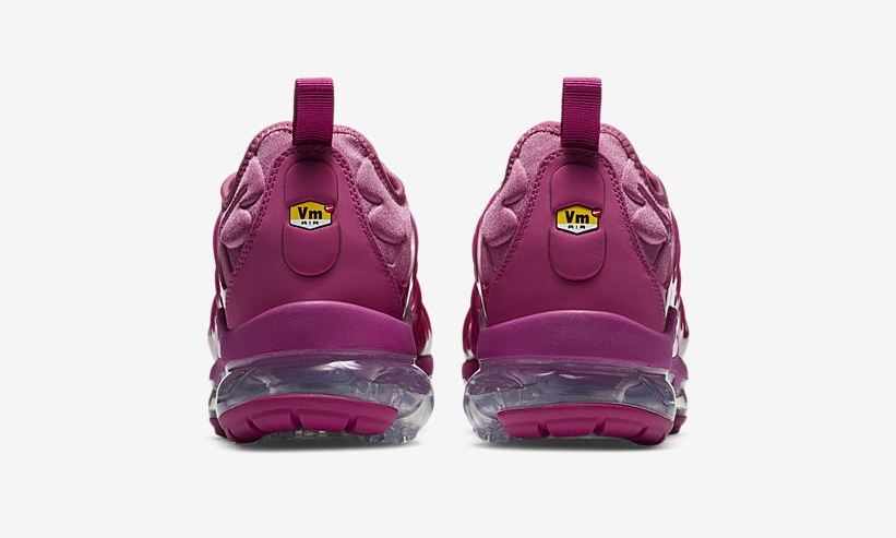 ナイキ エア ヴェイパーマックス プラス “パープル” (NIKE AIR VAPORMAX PLUS “Purple”) [DC1850-600]