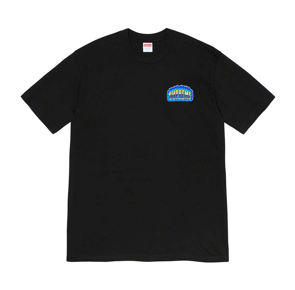 12/19 発売！SUPREME 2020 WINTER TEE COLLECTION (シュプリーム 2020年 冬/ウィンター TEE コレクション) & 2020 F/W レギュラーアイテム一覧！