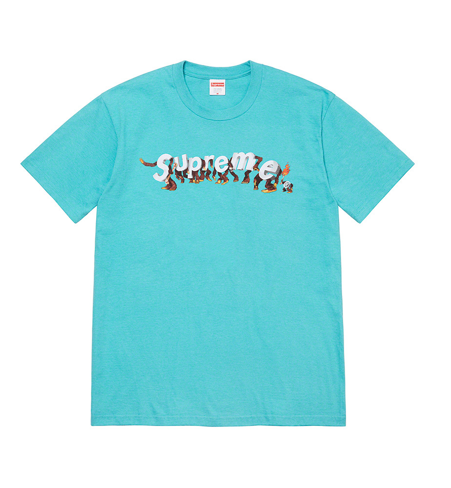 【海外 4/15、国内 4/17 発売】SUPREME 2021 SPRING TEE COLLECTION (シュプリーム 2021年 春/スプリング TEE コレクション)