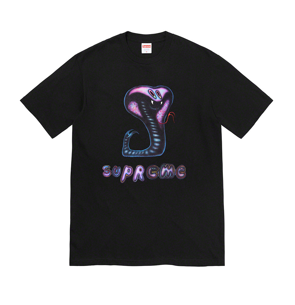 【6/26 発売】SUPREME 2021 SUMMER TEE COLLECTION (シュプリーム 2021年 夏/サマー TEE コレクション)