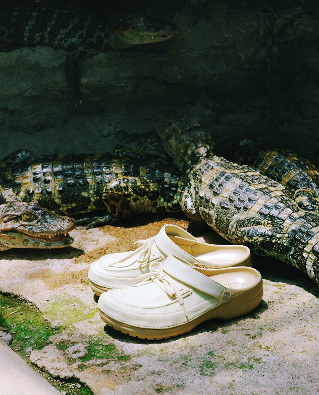 BAL × BEAMS T × Crocs トリプルコラボカスタムシューズが6/25 発売 (バル クロックス ビームス)