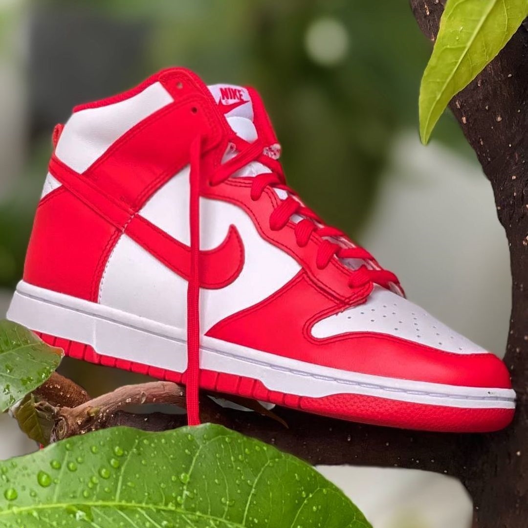 NIKE ナイキ DUNK HI RETRO CHAMPIONSHIP WHITE AND RED ダンク ハイ チャンピオンシップ ハイカットスニーカー DD1399-106 レッド US8.5/26.5cm