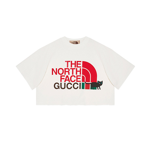 【国内 11/20、1/19 発売】2021/2022年 グッチ × ノースフェイス コラボレーション (GUCCI THE NORTH FACE 2021 2022)