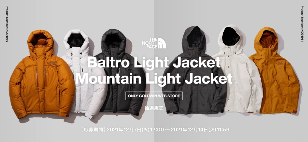 THE NORTH FACE ノースフェイス ジャケット サイズ:L 21AW WEBストア限定  GORE-TEX マウンテン ライト ジャケット Mountain Light Jacket NP12131R ティンバータン(TM) アウター ブルゾン コート【メンズ】【美品】