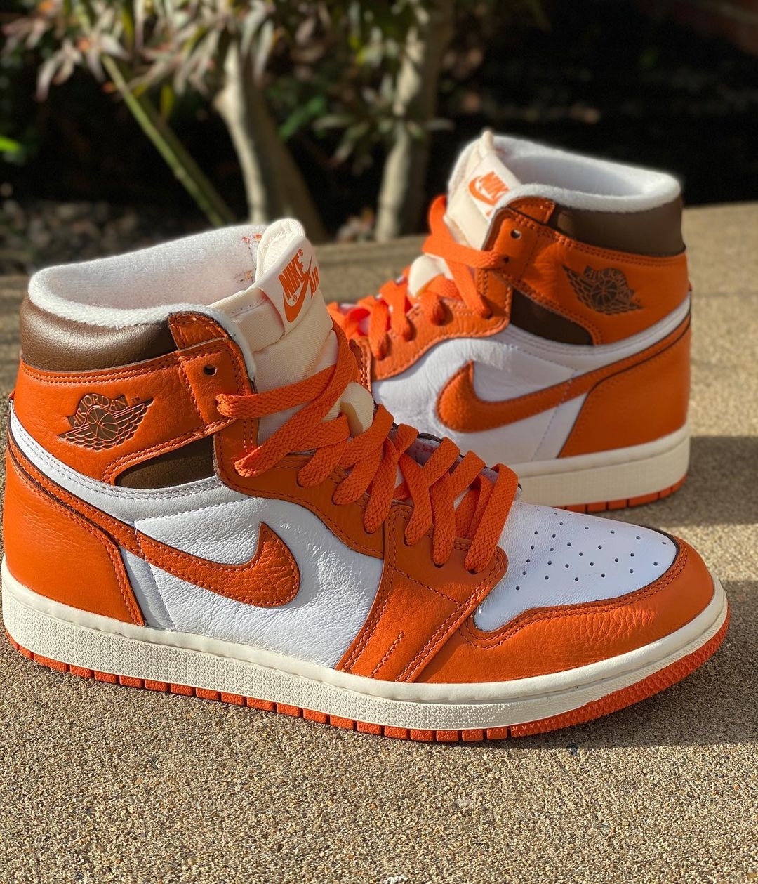 Nike WMNS Air Jordan 1 High OG  Starfish