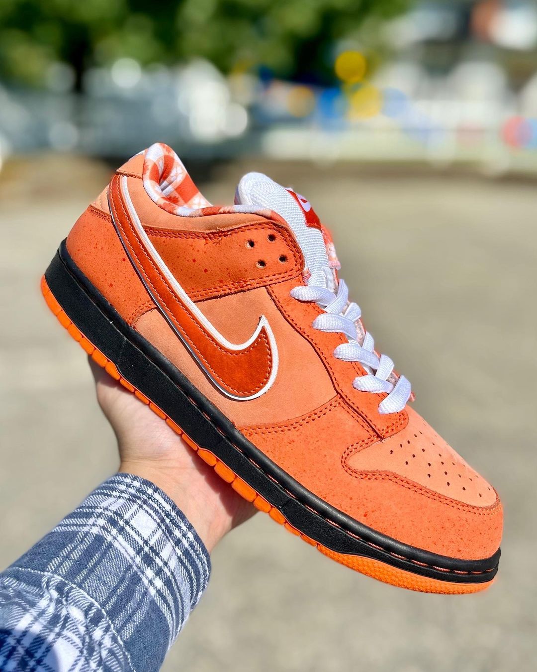 【国内 2/28 発売】コンセプツ × ナイキ SB ダンク ロー “オレンジロブスター” (Concepts NIKE SB DUNK LOW “Orange Lobster”) [FD8776-800]