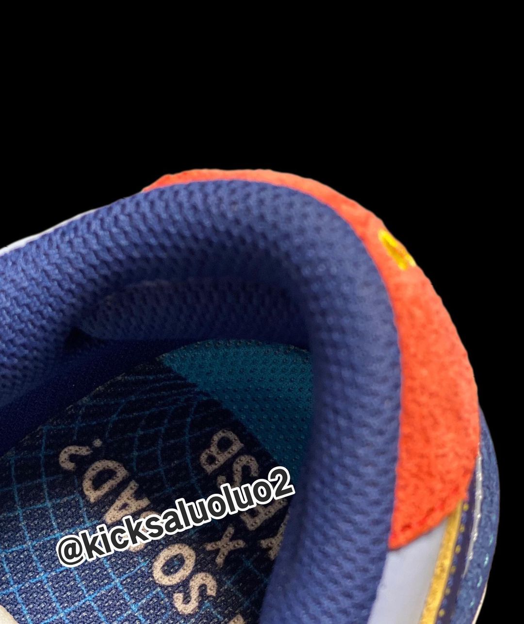 【国内 11/10 発売】Why So Sad? x NIKE SB DUNK LOW (ワイ ソー サッド? ナイキ SB ダンク ロー) [DX5549-400]