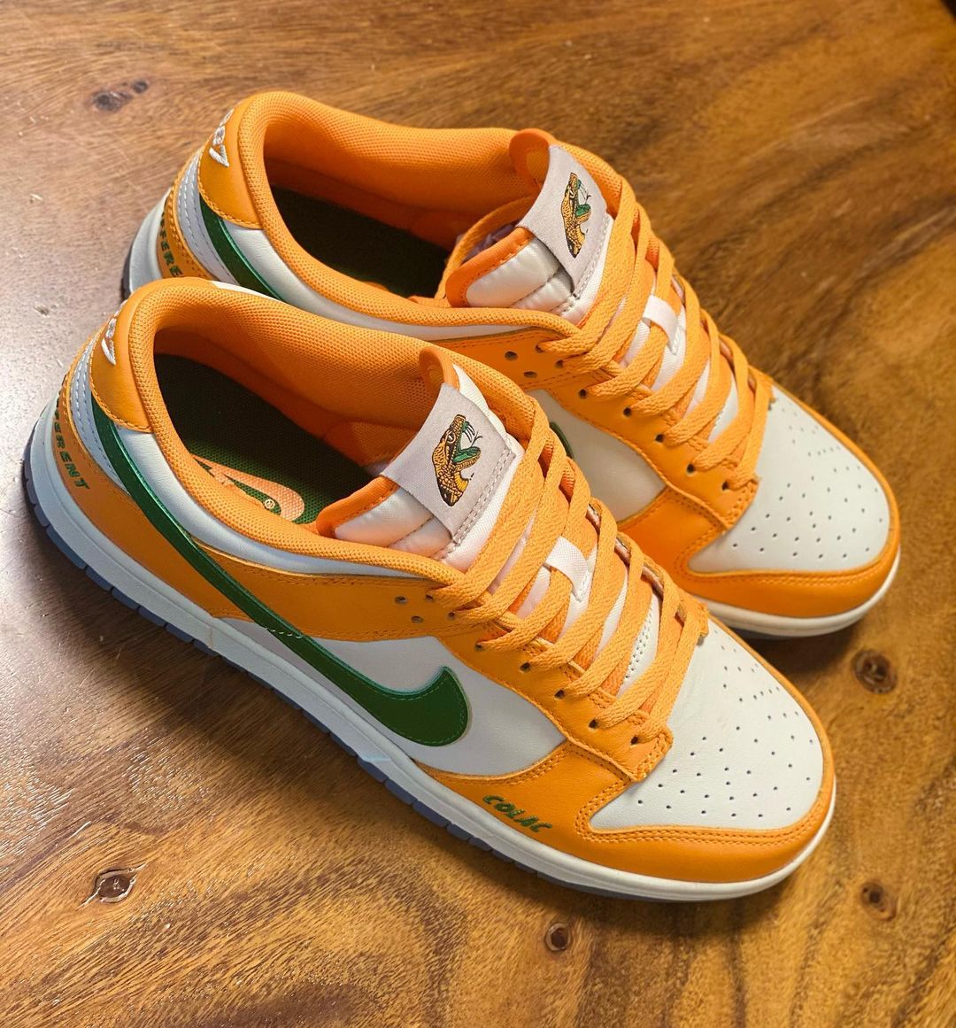 海外 10/17 発売予定！FAMULY Florida A&M Rattlers x NIKE DUNK LOW (フロリダAMラトラーズ ナイキ ダンク ロー) [DR6188-800]