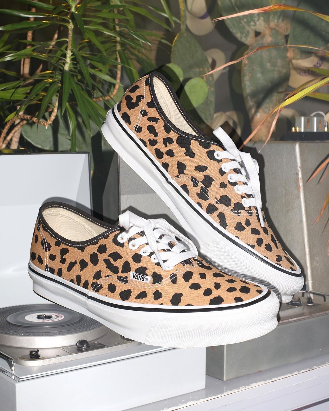 【国内 8/27 発売】WACKO MARIA × VANS VAULT AUTHENTIC “Leopard” 3カラー (ワコマリア バンズ ヴォルト オーセンティック)