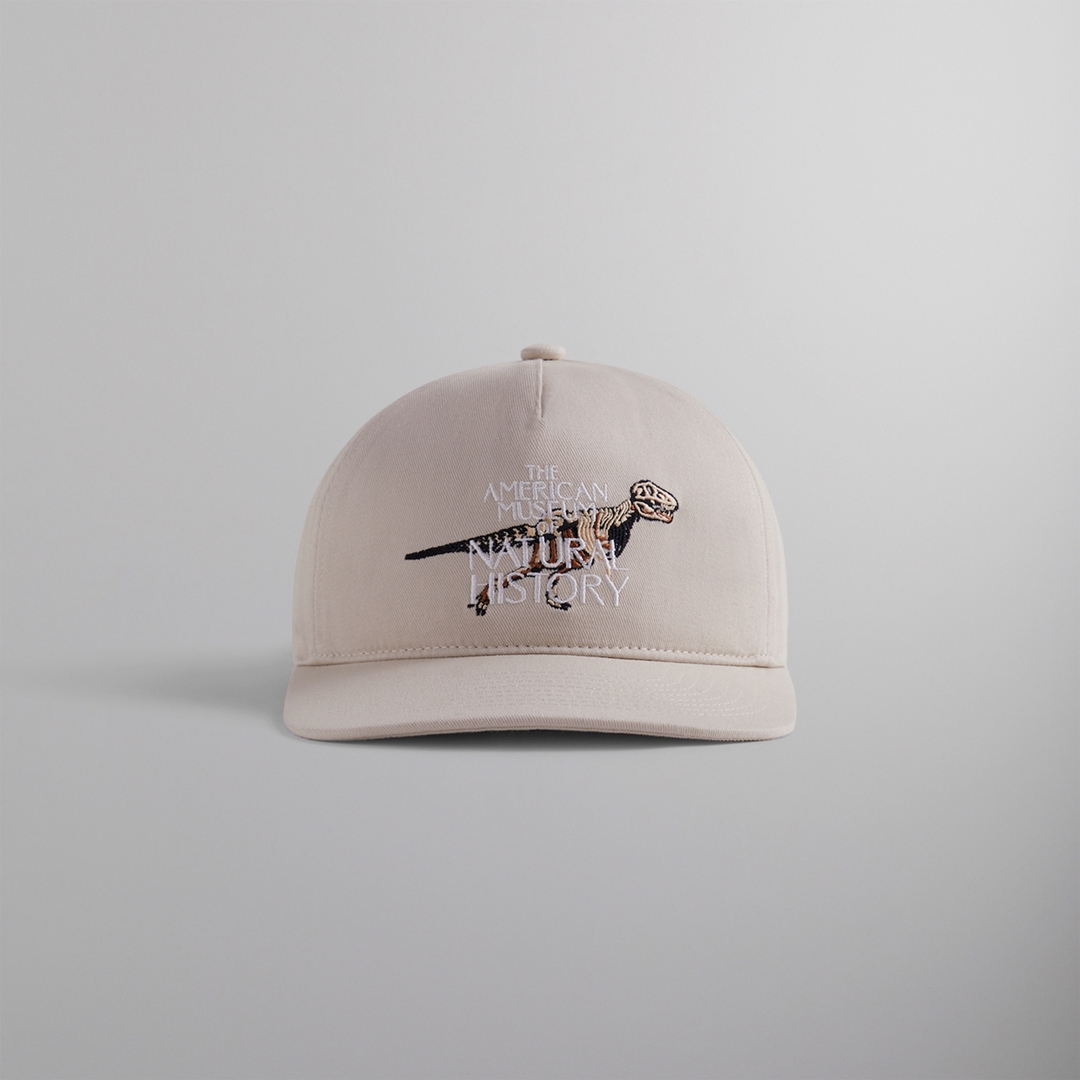 【Kith for the American Museum of Natural History】KITH MONDAY PROGRAM 2022年 8/20 発売 (キス アメリカ自然史博物館)