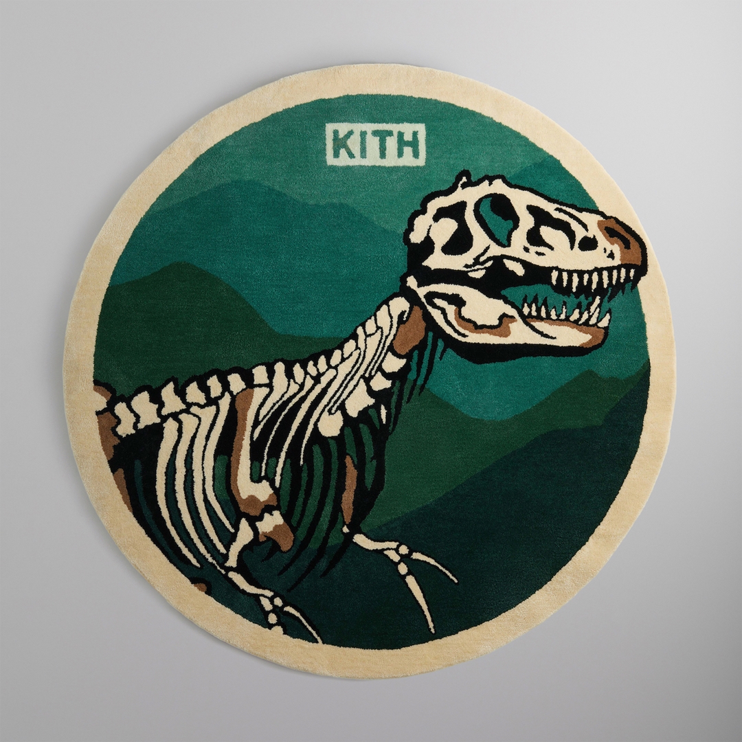 【Kith for the American Museum of Natural History】KITH MONDAY PROGRAM 2022年 8/20 発売 (キス アメリカ自然史博物館)