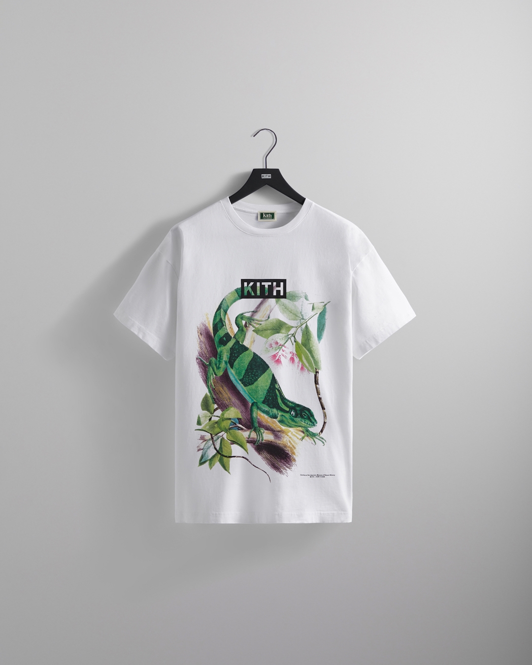 【Kith for the American Museum of Natural History】KITH MONDAY PROGRAM 2022年 8/20 発売 (キス アメリカ自然史博物館)