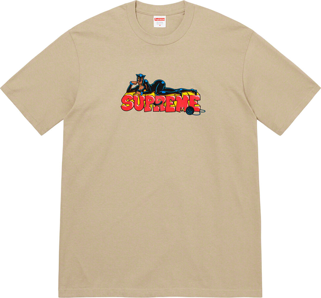 【Tシャツ/TEE まとめ】シュプリーム (SUPREME) 2022 FALL/WINTER コレクション (2022年 秋冬)