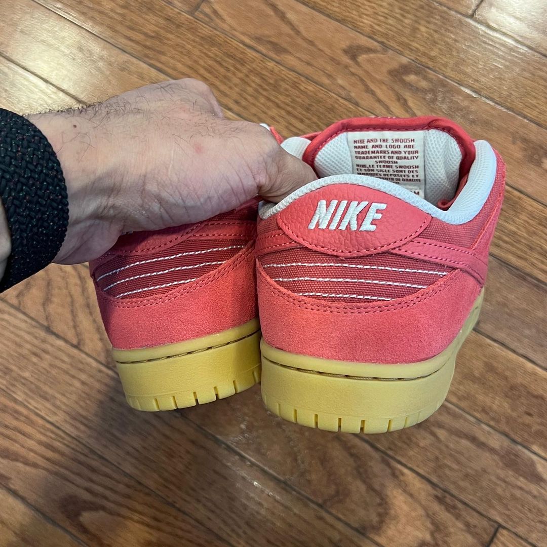 【国内 1/19 発売】ナイキ SB ダンク ロー プロ “アドビレッド/ガム” (NIKE SB DUNK LOW PRO “Adobe Red/Gum”) [DV5429-600]