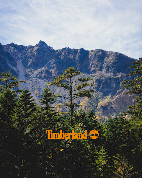10数年ぶりの復刻！Timberlandの名作「FIELD BOOTS」BEAMSエクスクルーシブ “ビーブロ” カラーが1/28 発売 (ティンバーランド ビームス)