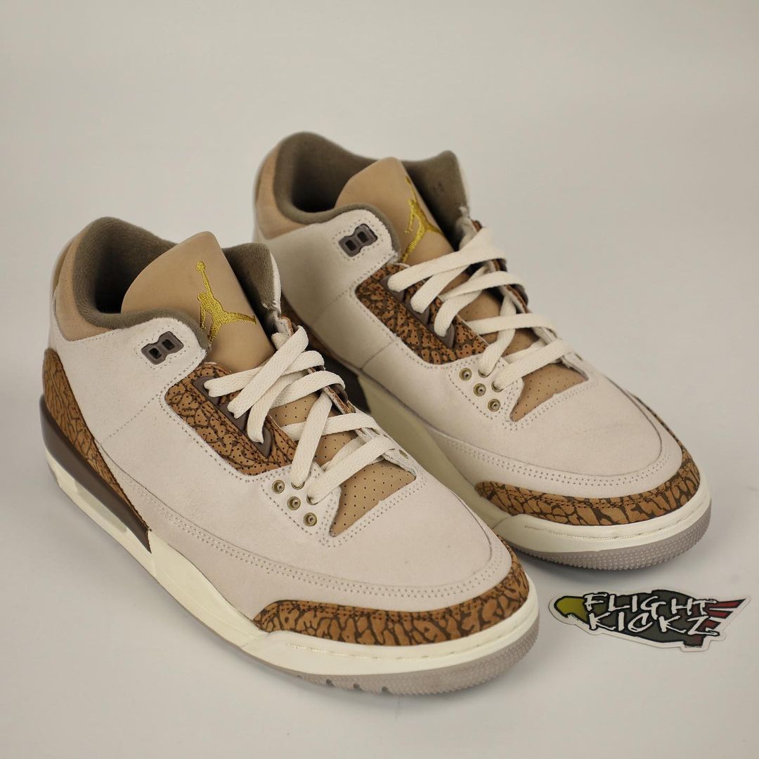 【国内 7/29 発売予定】ナイキ エア ジョーダン 3 レトロ “ライトアイアンオール/パロミノ” (NIKE AIR JORDAN 3 RETRO “Light Iron Ore/Palomino”) [CT8532-102]