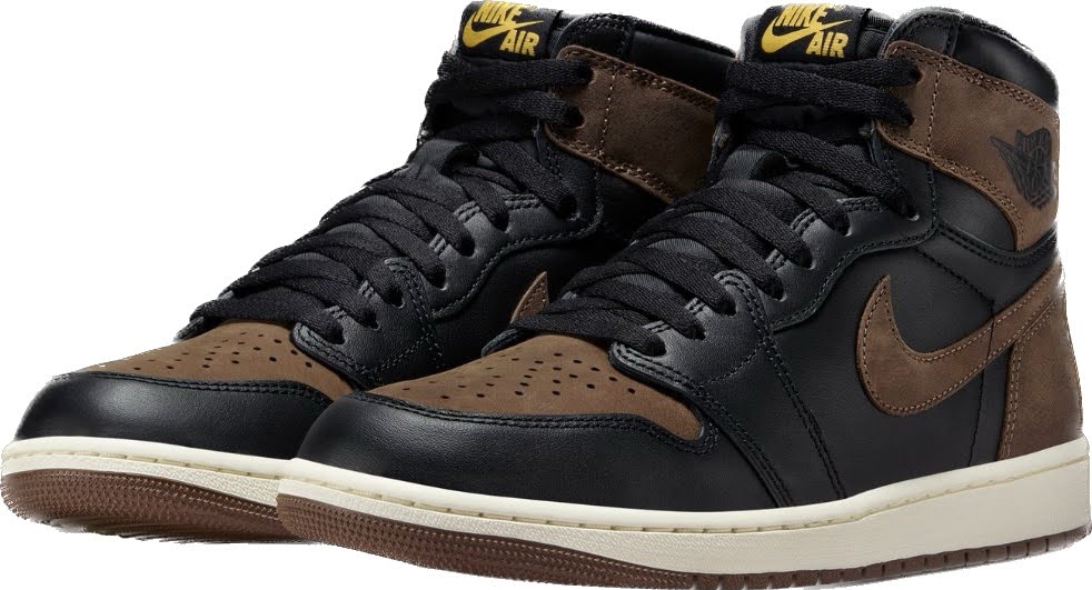 【国内 8/27 発売予定】ナイキ エア ジョーダン 1 ハイ OG “ブラック/パロミノ” (NIKE AIR JORDAN 1 HIGH OG “Black/Palomino”) [DZ5485-020]