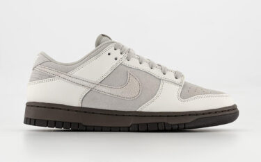 海外 2/21 発売予定！ナイキ ダンク ロー “アイアンストーン” (NIKE DUNK LOW “Ironstone”) [FD9746-001]