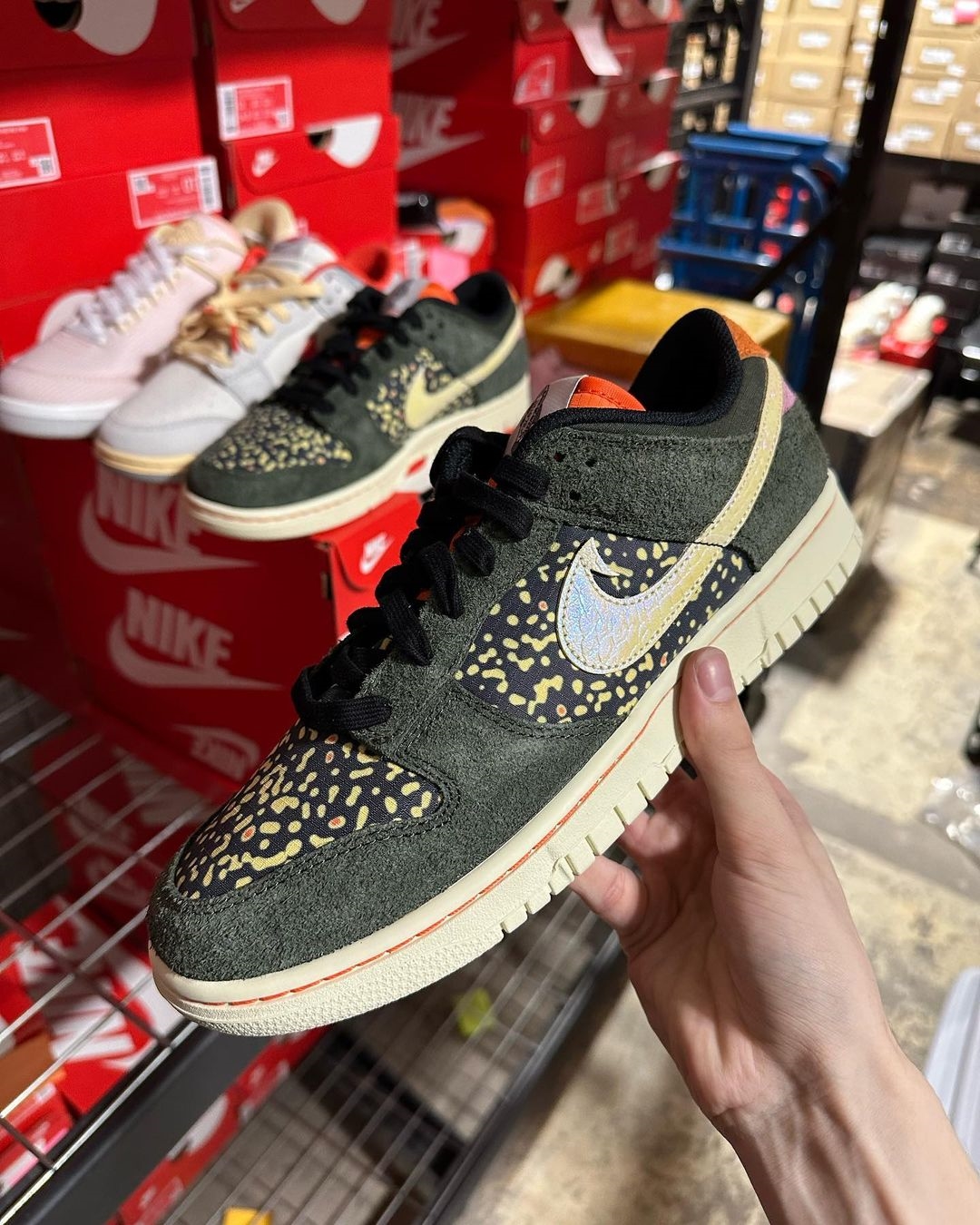 2023年 春 発売予定！ナイキ ダンク ロー “レインボートラウト” (NIKE DUNK LOW “Rainbow Trout”) [FN7523-300]