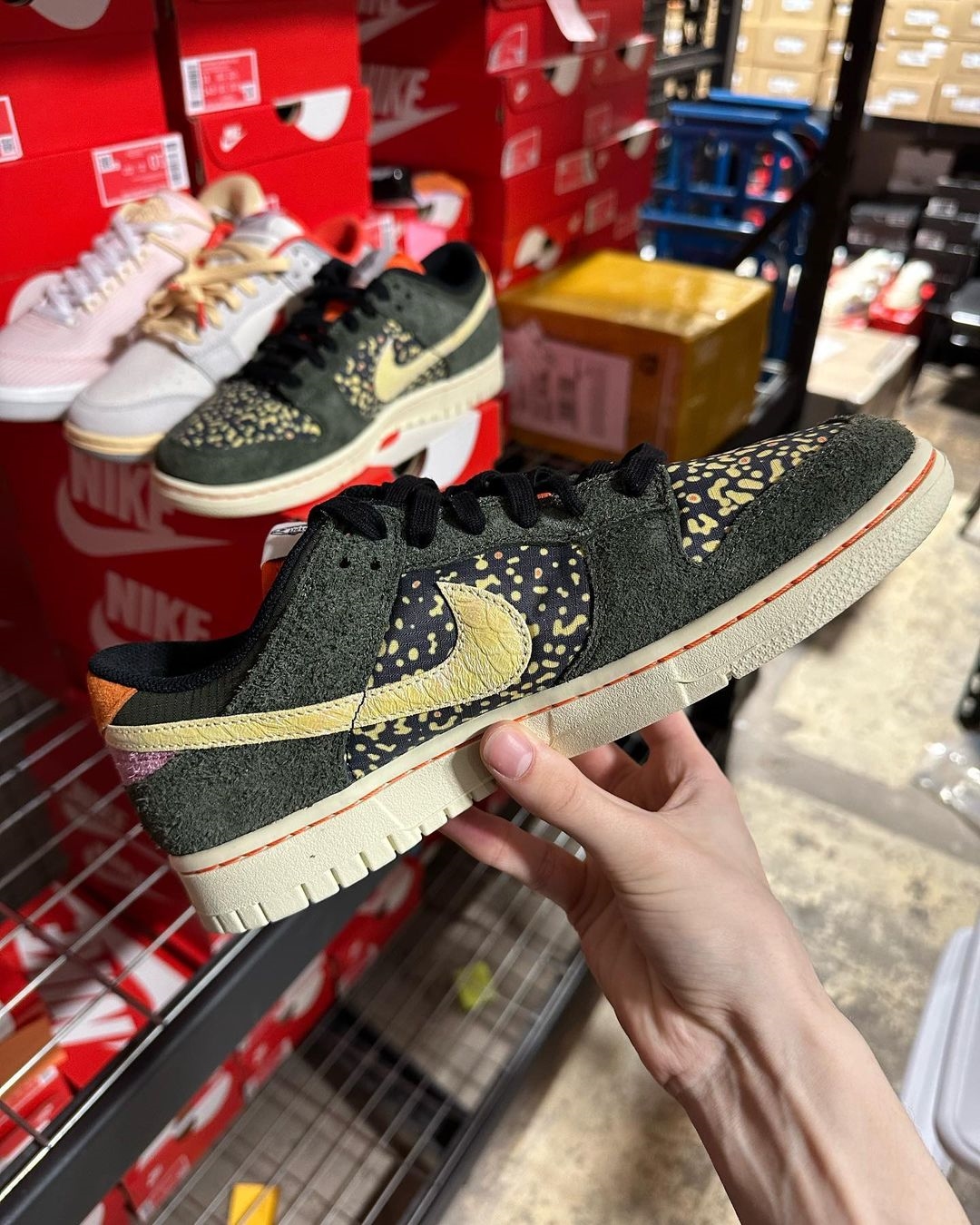 2023年 春 発売予定！ナイキ ダンク ロー “レインボートラウト” (NIKE DUNK LOW “Rainbow Trout”) [FN7523-300]