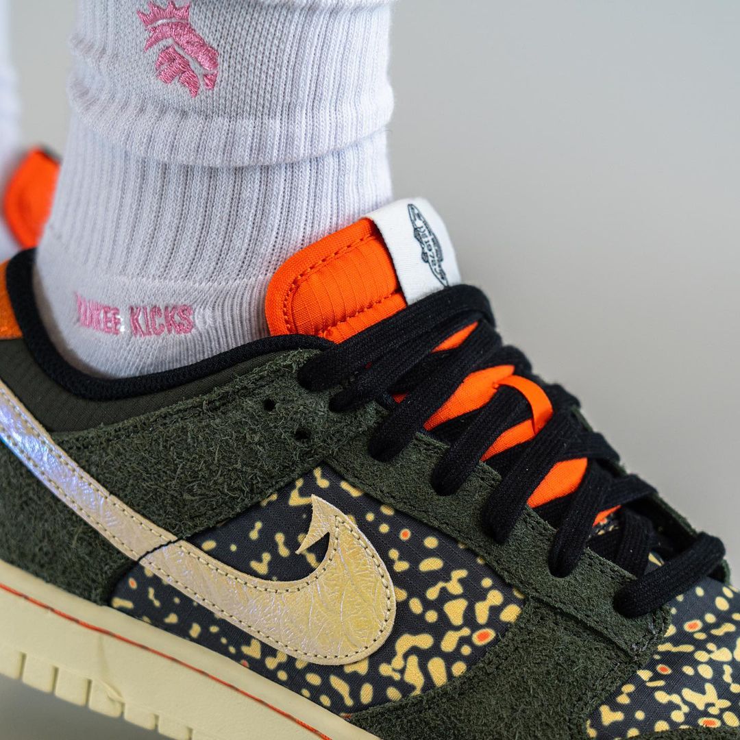 2023年 春 発売予定！ナイキ ダンク ロー “レインボートラウト” (NIKE DUNK LOW “Rainbow Trout”) [FN7523-300]