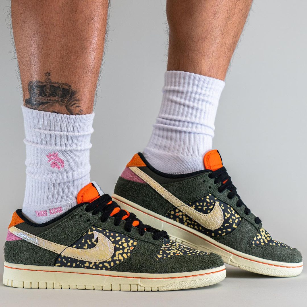 2023年 春 発売予定！ナイキ ダンク ロー “レインボートラウト” (NIKE DUNK LOW “Rainbow Trout”) [FN7523-300]