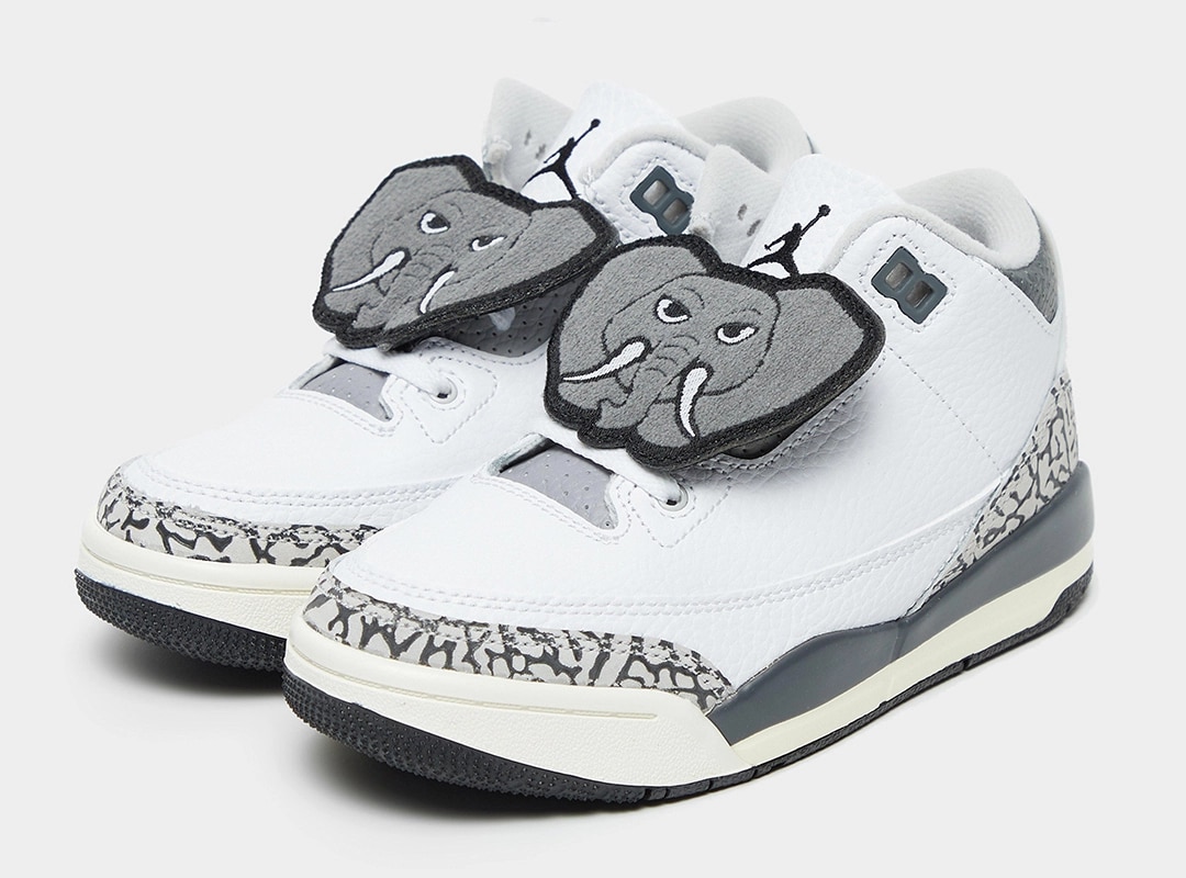 【国内 6/6 発売】ナイキ GS エア ジョーダン 3 “アニマルアイコン” (NIKE GS AIR JORDAN 3 “Animal Icon”) [DX6665-100]