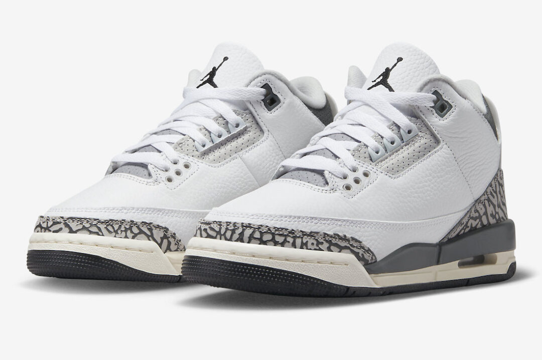 【国内 6/6 発売】ナイキ GS エア ジョーダン 3 “アニマルアイコン” (NIKE GS AIR JORDAN 3 “Animal Icon”) [DX6665-100]