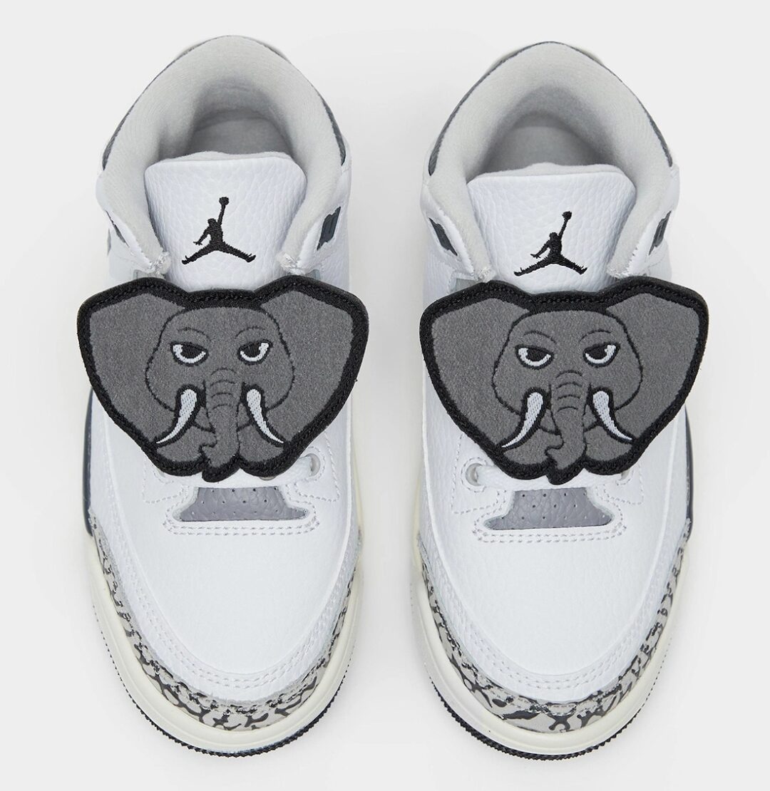 【国内 6/6 発売】ナイキ GS エア ジョーダン 3 “アニマルアイコン” (NIKE GS AIR JORDAN 3 “Animal Icon”) [DX6665-100]