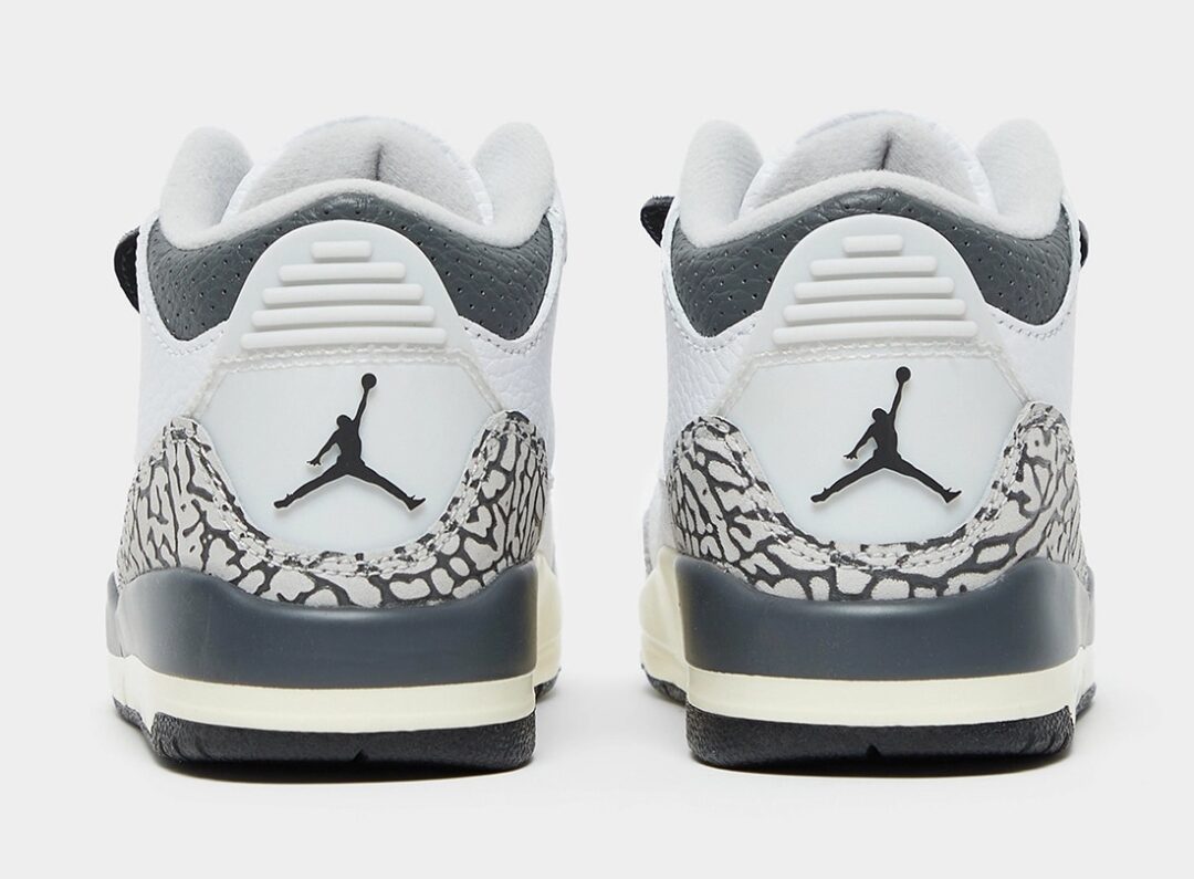 【国内 6/6 発売】ナイキ GS エア ジョーダン 3 “アニマルアイコン” (NIKE GS AIR JORDAN 3 “Animal Icon”) [DX6665-100]