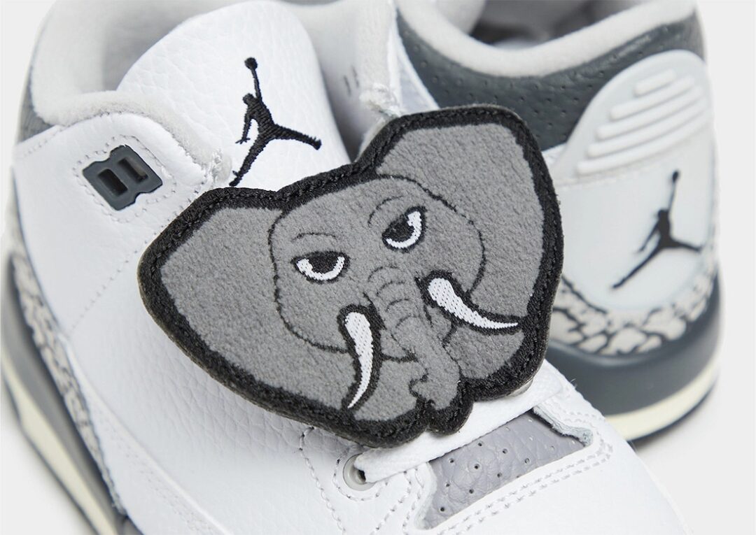 【国内 6/6 発売】ナイキ GS エア ジョーダン 3 “アニマルアイコン” (NIKE GS AIR JORDAN 3 “Animal Icon”) [DX6665-100]